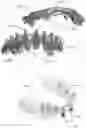 Fig. 09 - Modeling and manufacturing of dentures