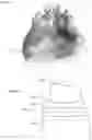 Fig. 10 - Modeling and manufacturing of dentures