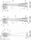 Fig. 37 - Oral cleansing device with removable base