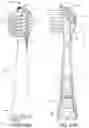 Fig. 38 - Oral cleansing device with removable base