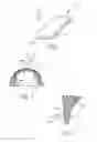 Fig. 02 - METHODS FOR WHITENING TEETH