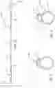 Fig. 14 - Sling and method of forming same