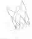 Fig. 09 - Advanced endovascular graft