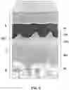 Fig. 05 - Soft tissue repair grafts and processes for preparing and using same