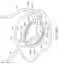 Fig. 25 - System for mitral valve repair and replacement