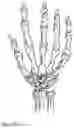 Fig. 07 - Interposition implants for the hand