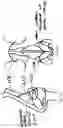 Fig. 02 - Systems and methods for nasal support