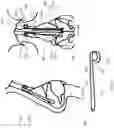 Fig. 04 - Systems and methods for nasal support