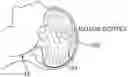 Fig. 01 - Medical device for sensing and or stimulating tissue