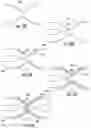 Fig. 08 - Systems and methods for making encapsulated hourglass shaped stents