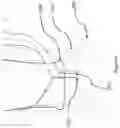 Fig. 07 - Menstrual Cup