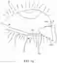 Fig. 17 - Forceps treatment systems