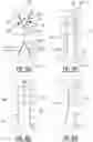 Fig. 21 - ABSORBENT ARTICLE WITH CHANNELS AND METHOD FOR MANUFACTURING THEREOF
