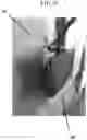 Fig. 11 - Temperature-Controlled Cradle