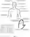 Fig. 16 - Method and Process of Self-Directed Healing of the Mind, Body, and Spirit