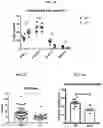 Fig. 03 - Methods and compositions targeting lung microbiota and its responding immune pathways for lung cancer treatment