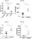 Fig. 09 - Methods and compositions targeting lung microbiota and its responding immune pathways for lung cancer treatment