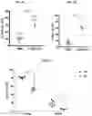 Fig. 10 - Methods and compositions targeting lung microbiota and its responding immune pathways for lung cancer treatment