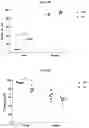 Fig. 11 - Methods and compositions targeting lung microbiota and its responding immune pathways for lung cancer treatment