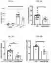Fig. 13 - Methods and compositions targeting lung microbiota and its responding immune pathways for lung cancer treatment