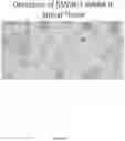 Fig. 13 - Lipid formulations for delivery of messenger RNA