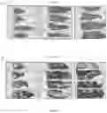 Fig. 18 - Lipid formulations for delivery of messenger RNA