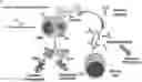 Fig. 01 - Self-assembled particles for targeted delivery of immunomodulators to treat autoimmunity and cancer