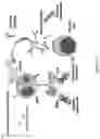 Fig. 02 - Self-assembled particles for targeted delivery of immunomodulators to treat autoimmunity and cancer
