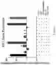 Fig. 08 - Self-assembled particles for targeted delivery of immunomodulators to treat autoimmunity and cancer