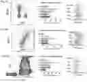 Fig. 10 - Self-assembled particles for targeted delivery of immunomodulators to treat autoimmunity and cancer