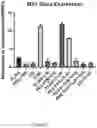 Fig. 11 - Self-assembled particles for targeted delivery of immunomodulators to treat autoimmunity and cancer