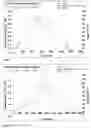 Fig. 06 - Method for making a micronized dry powder formulation of glycopyrrolate and magnesium stearate