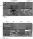 Fig. 03 - Method for drying hydrogel comprising nanofibrillar cellulose and a dried hydrogel comprising nanofibrillar cellulose
