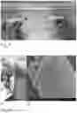 Fig. 05 - Method for drying hydrogel comprising nanofibrillar cellulose and a dried hydrogel comprising nanofibrillar cellulose