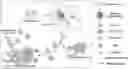 Fig. 01 - Bacterial membrane nanoparticles as an immunotherapy system for cancer treatment