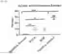 Fig. 06 - Bacterial membrane nanoparticles as an immunotherapy system for cancer treatment