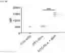 Fig. 10 - Bacterial membrane nanoparticles as an immunotherapy system for cancer treatment