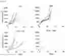 Fig. 13 - Bacterial membrane nanoparticles as an immunotherapy system for cancer treatment