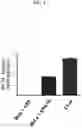 Fig. 05 - Polynucleotides encoding methylmalonyl-CoA mutase