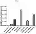 Fig. 08 - Polynucleotides encoding methylmalonyl-CoA mutase
