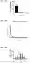 Fig. 20 - Polynucleotides encoding methylmalonyl-CoA mutase