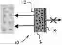 Fig. 01 - Intraoperative topically-applied non-implantable rapid release patch