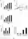 Fig. 04 - Pharmaceutical composition, containing NM23 activator, for inhibiting cancer metastasis