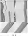 Fig. 10 - COMPOSITIONS AND METHODS TO REDUCE PATHOGENESIS