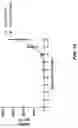Fig. 20 - COMPOSITIONS AND METHODS TO REDUCE PATHOGENESIS