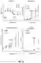 Fig. 24 - COMPOSITIONS AND METHODS TO REDUCE PATHOGENESIS