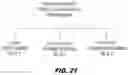 Fig. 27 - COMPOSITIONS AND METHODS TO REDUCE PATHOGENESIS