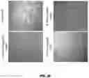 Fig. 45 - COMPOSITIONS AND METHODS TO REDUCE PATHOGENESIS