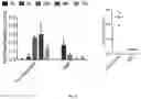Fig. 03 - Methods providing a therapeutic macromolecule and synthetic nanocarriers comprising immunosuppressant locally and concomitantly to reduce both type I and type IV hypersensitivity