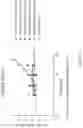 Fig. 10 - OLIGOMER-OPIOID AGONIST CONJUGATES